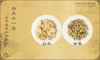 白术六一汤