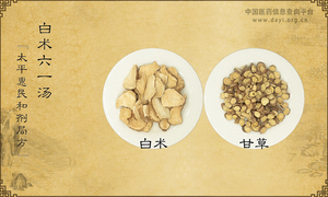 白术六一汤