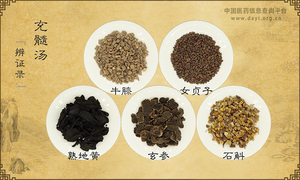 充髓汤