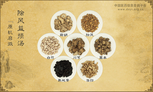 除风益损汤
