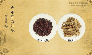 赤小豆当归散