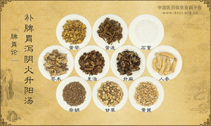 补脾胃泻阴火升阳汤