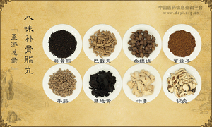 八味补骨脂丸