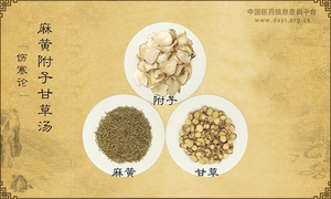 麻黄附子甘草汤