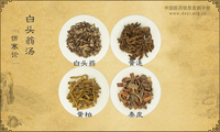 白头翁汤