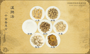 温脾汤