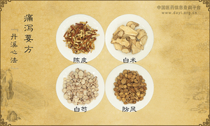 痛泻要方