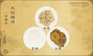 大陷胸汤